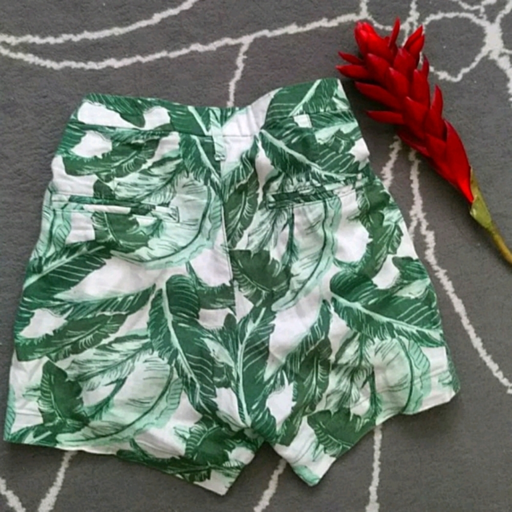 Tropical Palms Shorts - Picture 3 of 3